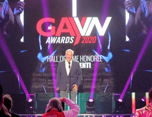 2020 GayVN Awards