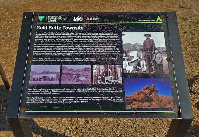 Gold Butte Townsite