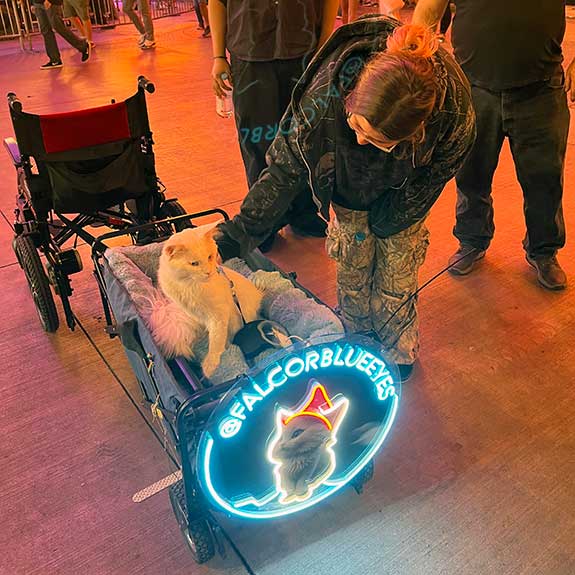 Falcor is helping redefine how the public views service animals Famous Foods at Resorts World Las Vegas